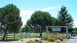 Ragel Park, Sebastopol photo by Michael Friedenberg