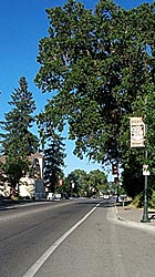 Windsor photo by Michael Friedenberg