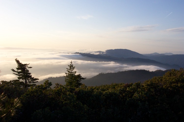 Copy of St_Helena_040404_0013.jpg