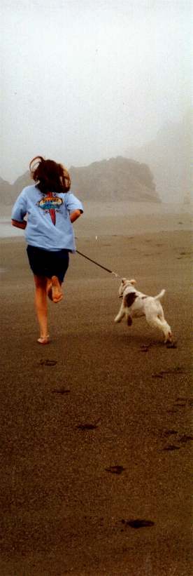 Carrie running Bogie on the beach