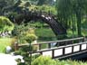 bridges