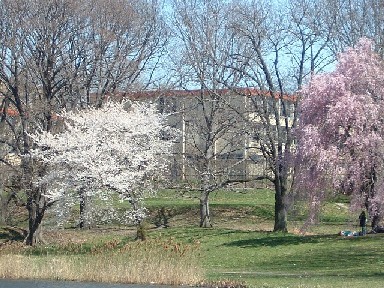 �l�G�̃C�x���g�I�u�����`�E�u���b�N�E�p�[�N�̍��i�\���C���V�m2700�{�j