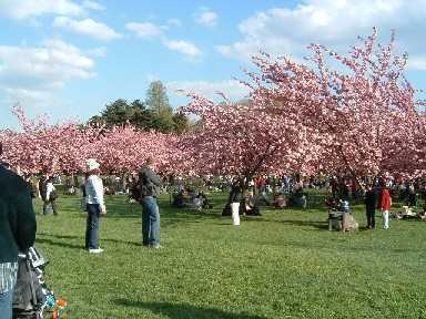 �l�G�̃C�x���g�I�u���b�N�����A�����̍��i����42���200�{�j