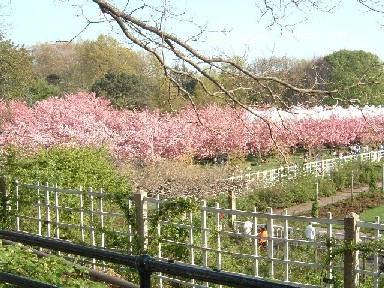 �l�G�̃C�x���g�I�u���b�N�����A�����̍��i����42���200�{�j