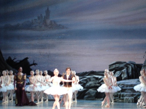 �����̌�