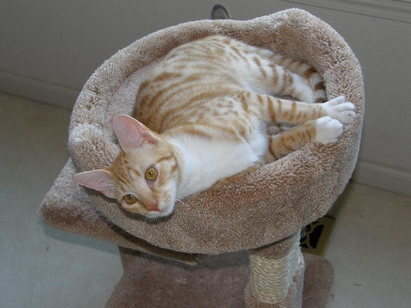 buddy20091001_9.jpg