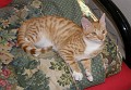 buddy20091001_6