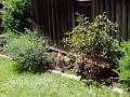 gb20060819_garden02