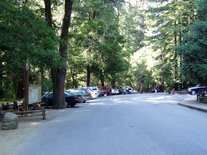 bigbasin_01.jpg