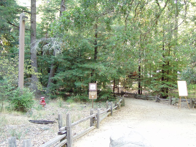 bigbasin_02.jpg