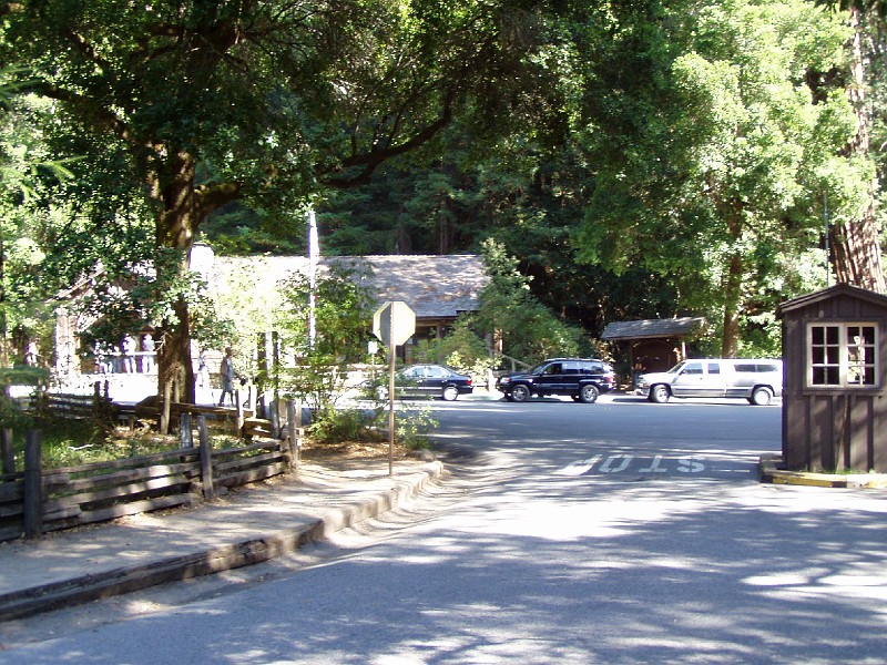 bigbasin_03.jpg
