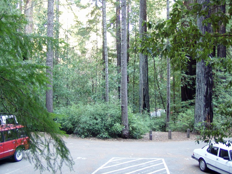 bigbasin_11.jpg