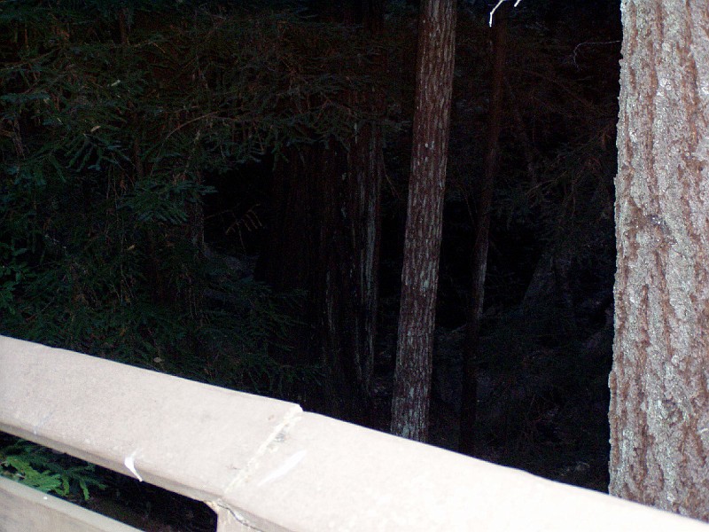bigbasin_14.jpg