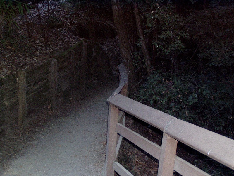 bigbasin_15.jpg