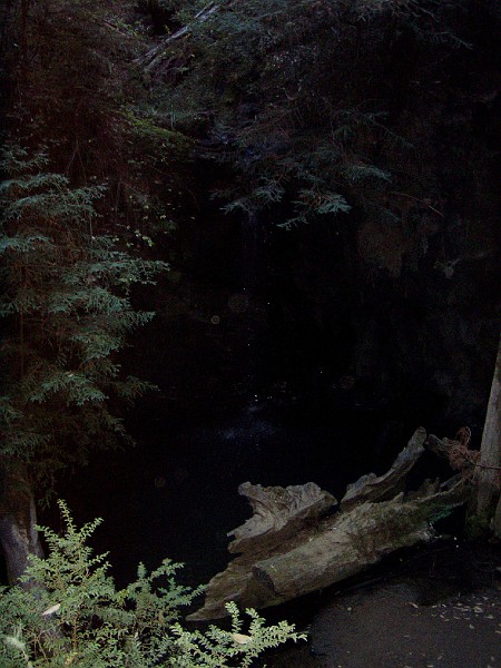 bigbasin_17.jpg