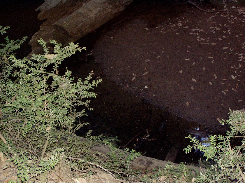 bigbasin_19.jpg