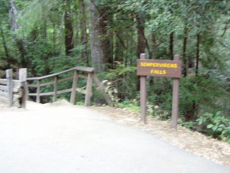 bigbasin_20.jpg