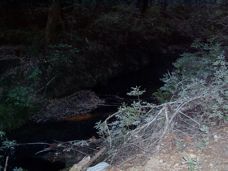 bigbasin_24.jpg