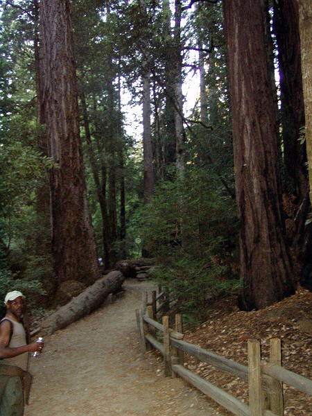 bigbasin_25.jpg