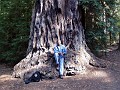bigbasin_04