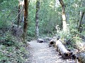 bigbasin_07