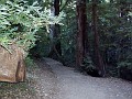 bigbasin_08