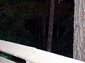 bigbasin_14