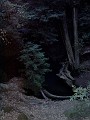 bigbasin_16