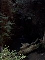 bigbasin_17