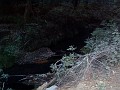 bigbasin_24