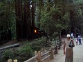bigbasin_31