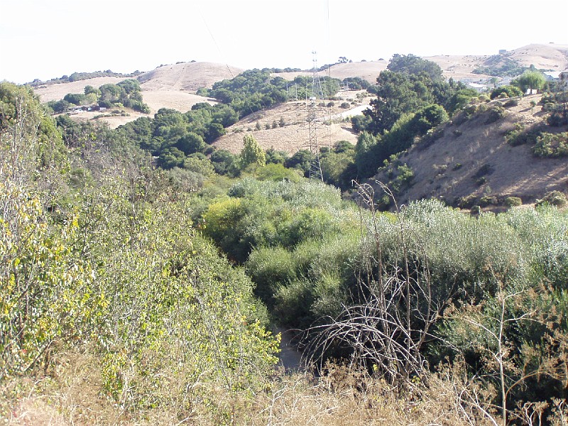 doncastro_20031025_004.jpg