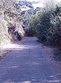 doncastro_20031025_006