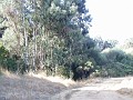 doncastro_20031025_008