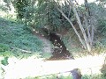 doncastro_20031025_016