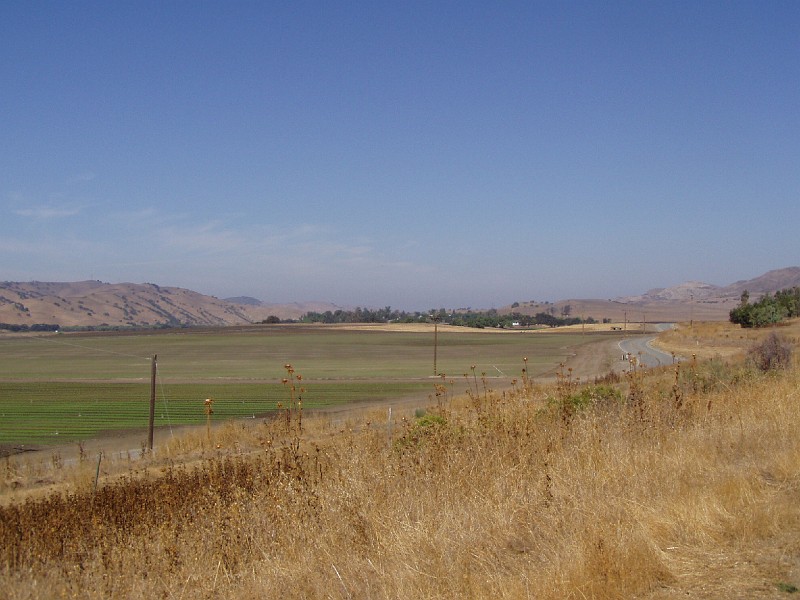 pinn02.jpg