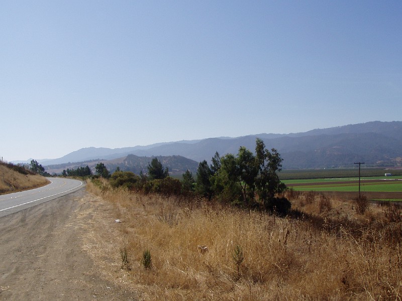 pinn05.jpg