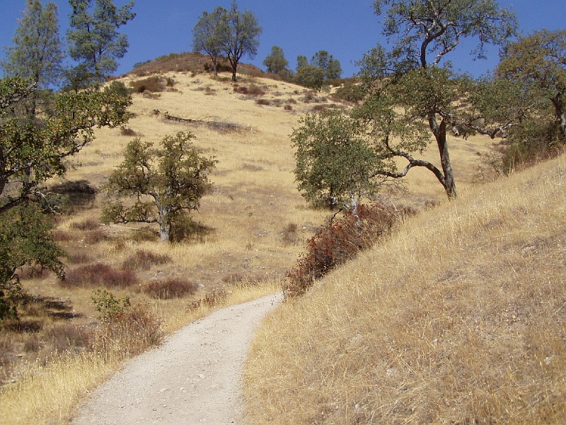 pinn08.jpg