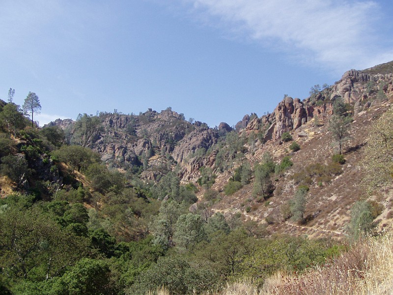 pinn09.jpg
