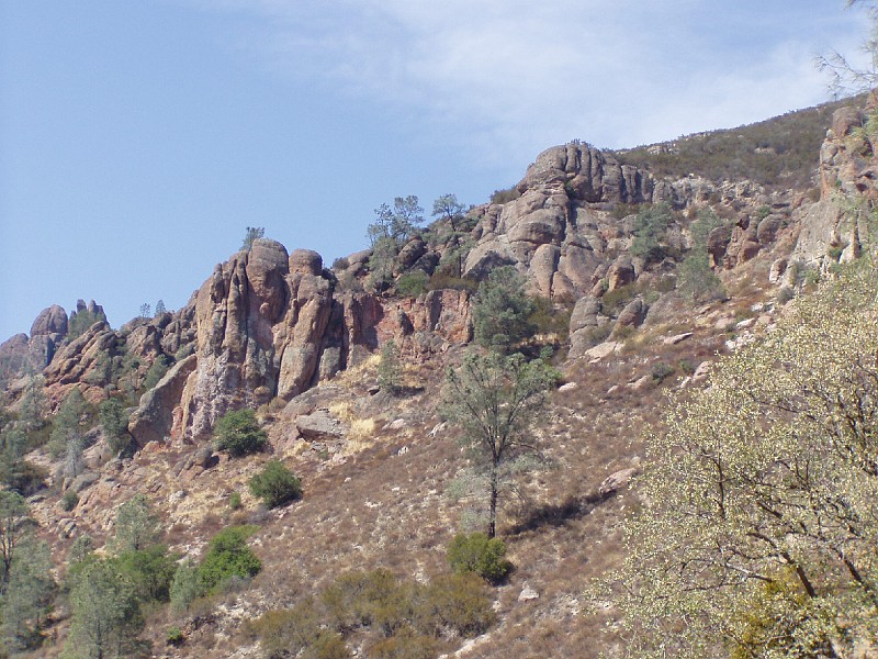 pinn10.jpg