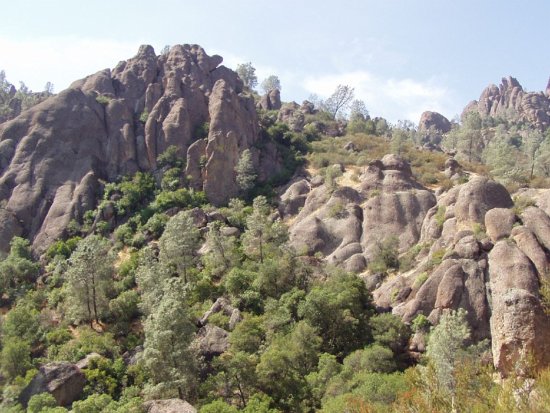 pinn11.jpg