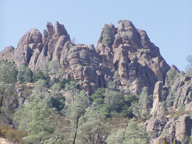 pinn12.jpg