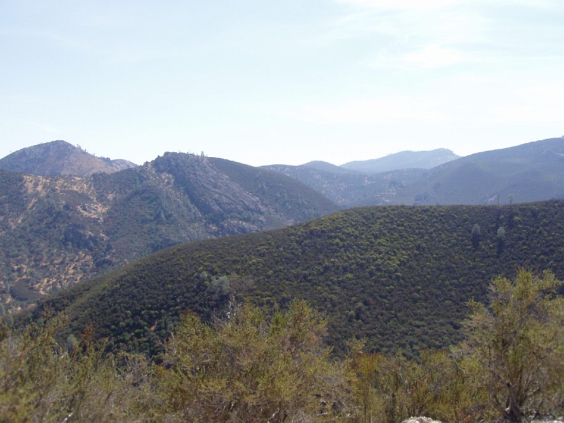 pinn16.jpg