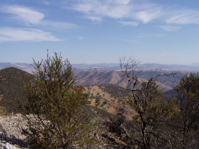 pinn18.jpg