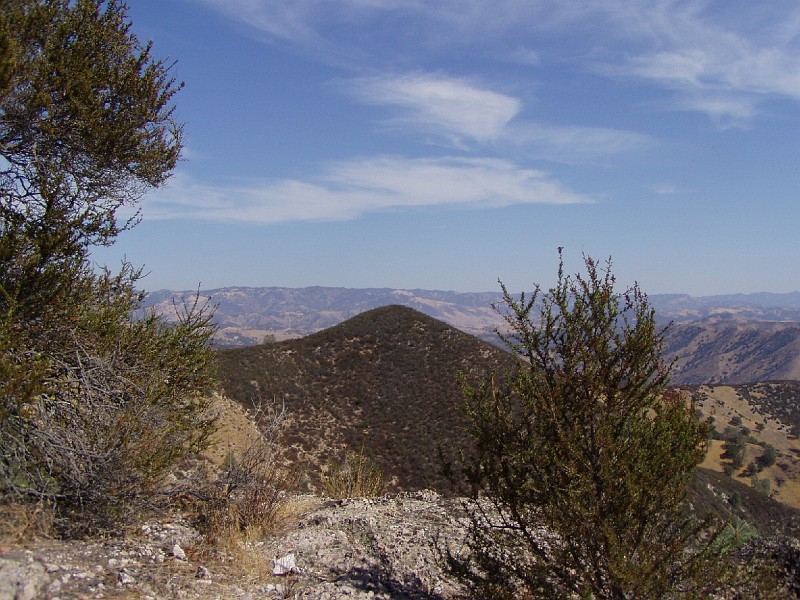 pinn19.jpg