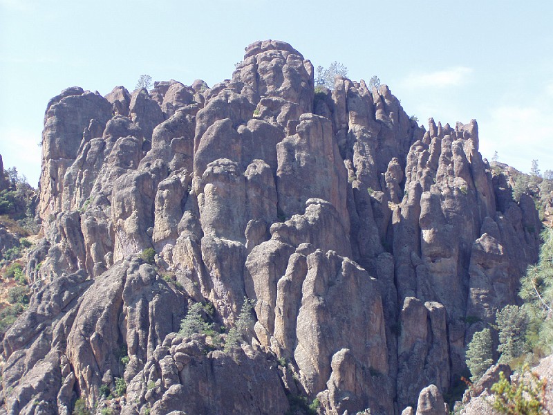pinn21.jpg