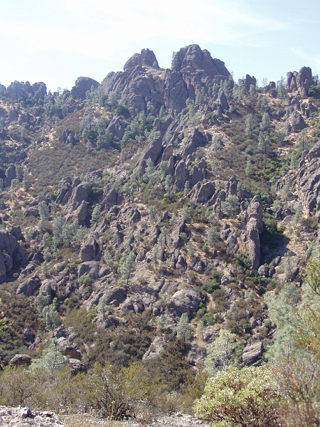 pinn22.jpg