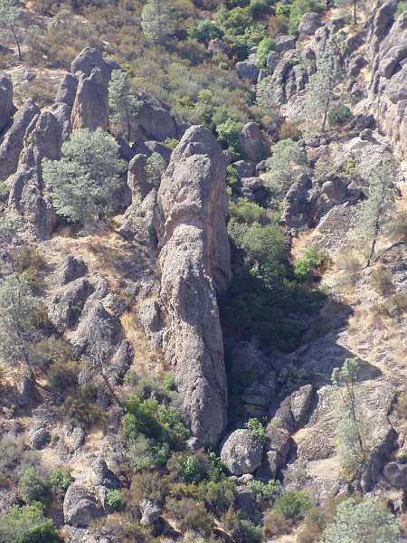 pinn24.jpg
