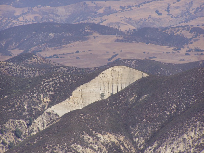 pinn25.jpg