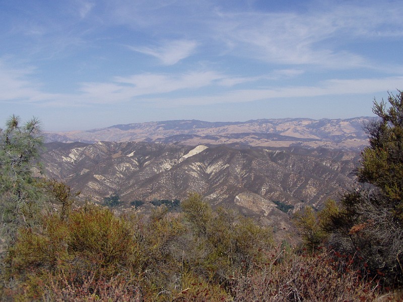 pinn26.jpg